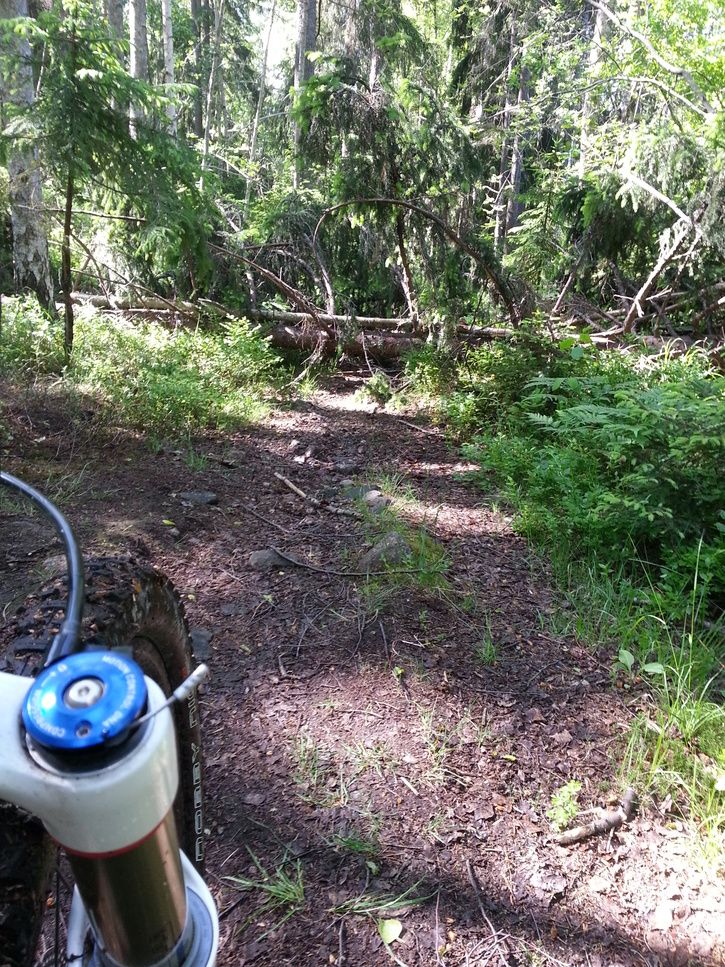 2013-06-0910.03.28.jpg