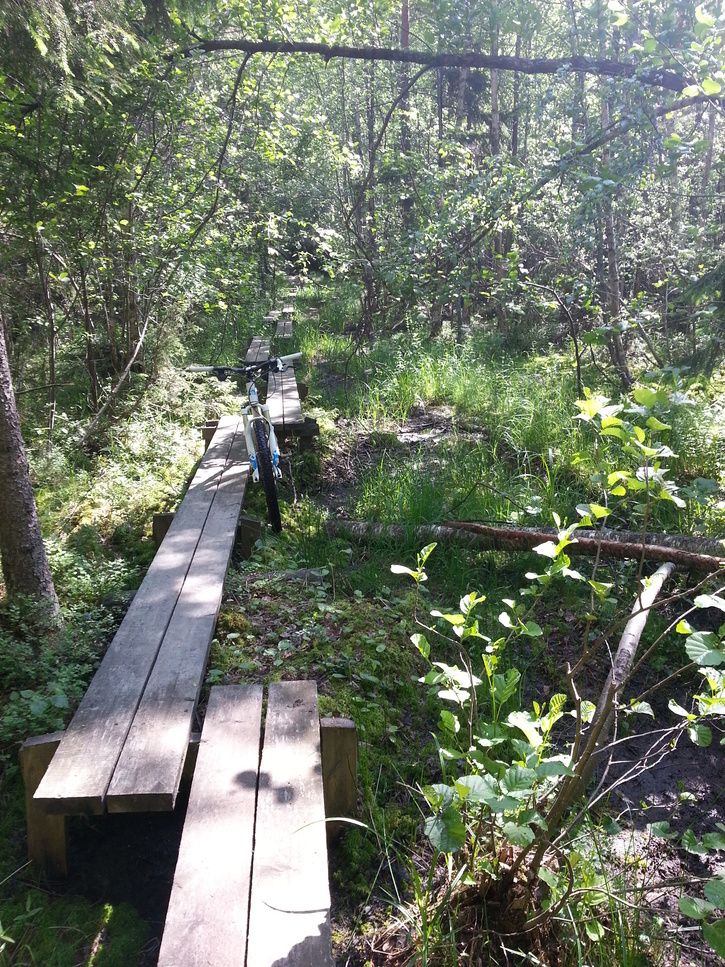 2013-06-0910.06.52.jpg