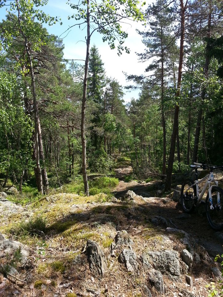2013-06-0910.49.02.jpg