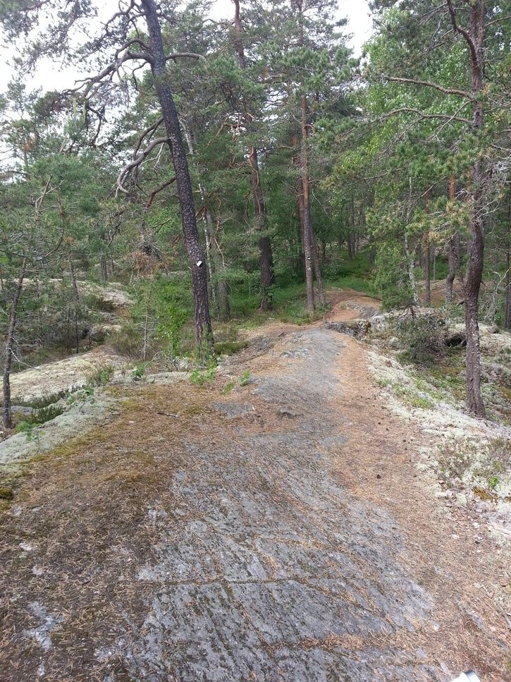2013-06-0910.58.35.jpg