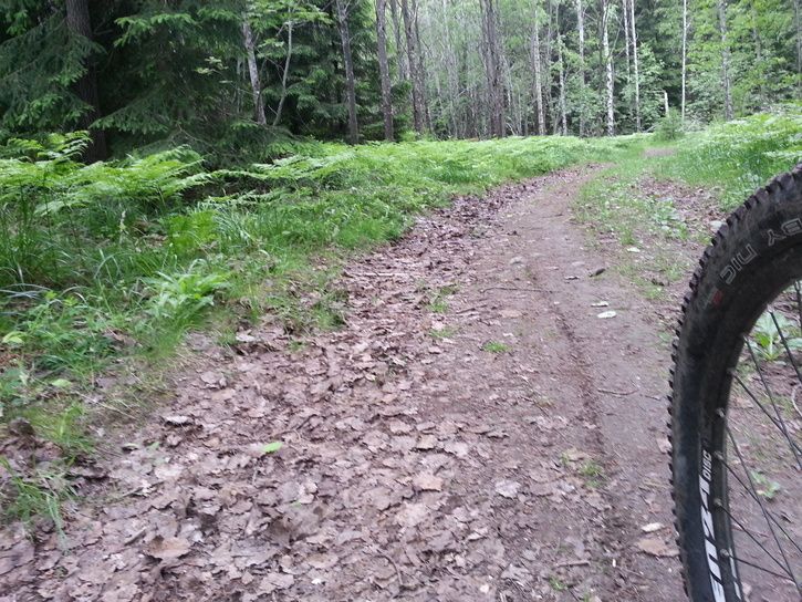 2013-06-0911.17.24.jpg