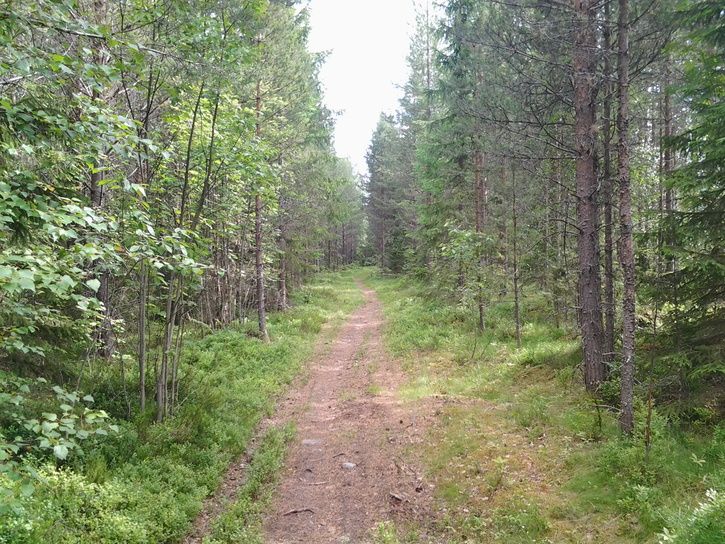 2013-06-2315.40.17.jpg