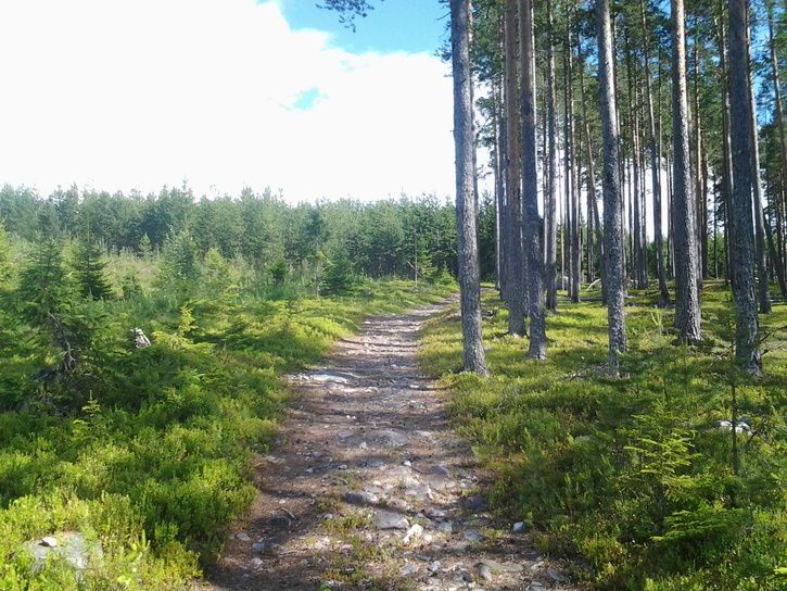 2013-06-2315.51.06.jpg