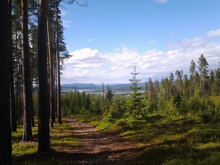 2013-06-2315.53.47.jpg