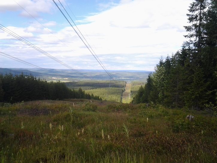 2013-06-2316.03.53.jpg