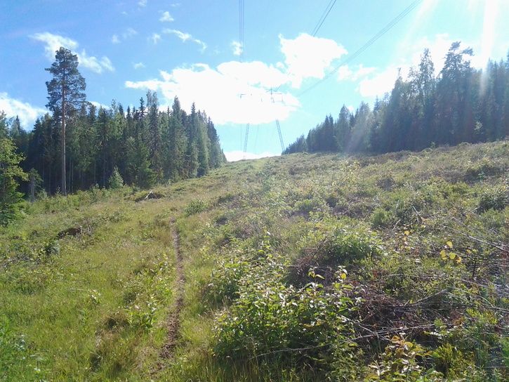 2013-06-2316.12.15.jpg