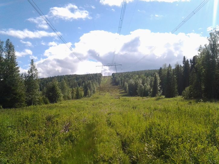 2013-06-2316.16.25.jpg