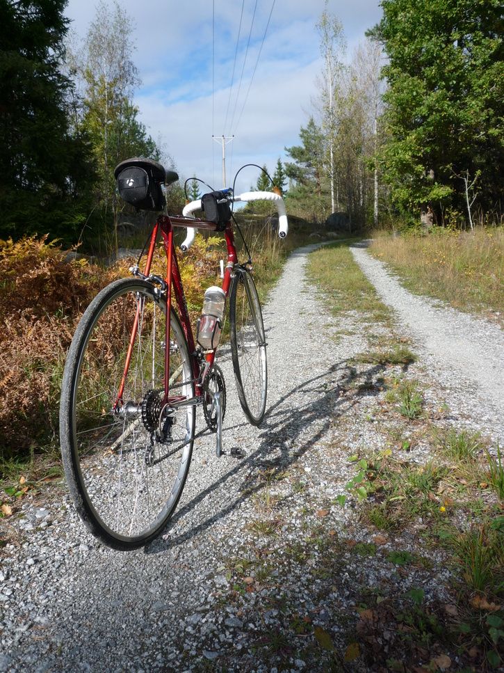 2013-09-28Willier+grus012.JPG