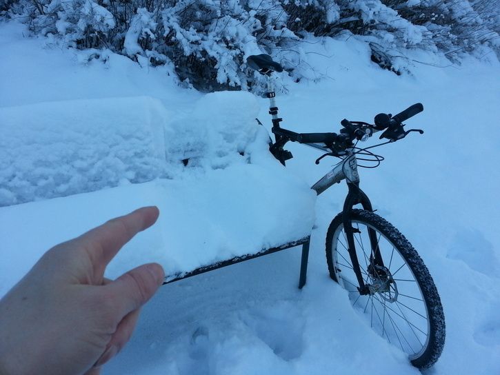 20130118_085005.jpg