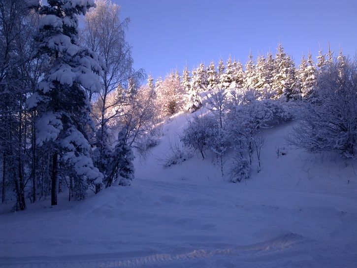 20130119954.jpg