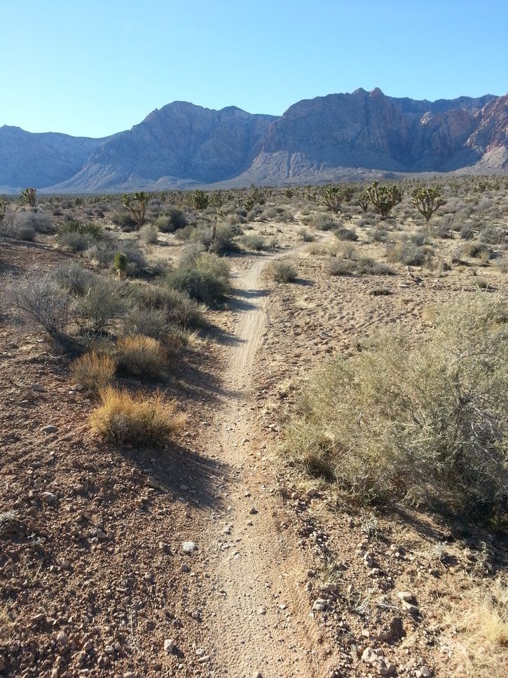 20130119_140835.jpg
