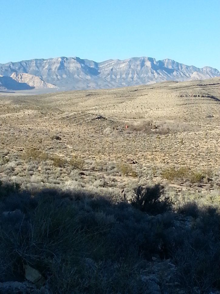 20130119_145215.jpg