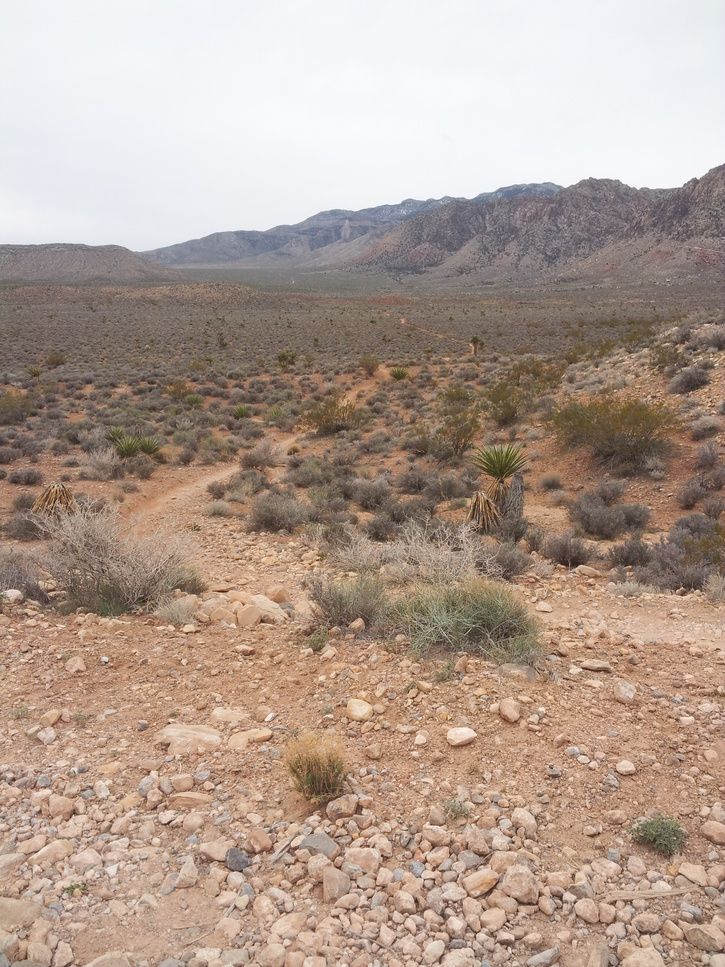 20130307_133151.jpg
