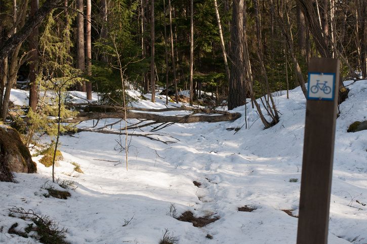 20130309-DSC_0179.jpg