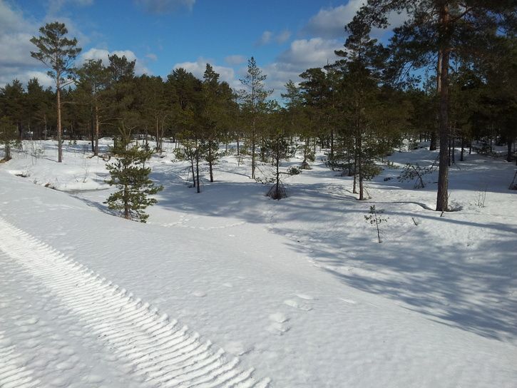 20130309_123102.jpg