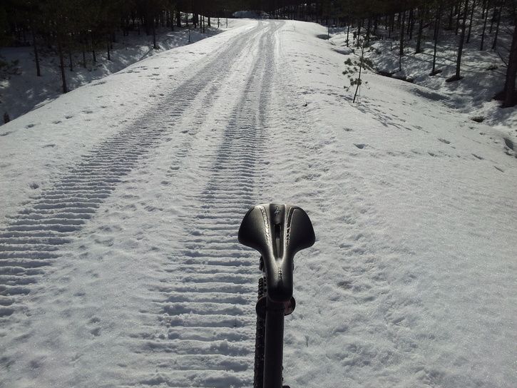 20130309_123126.jpg