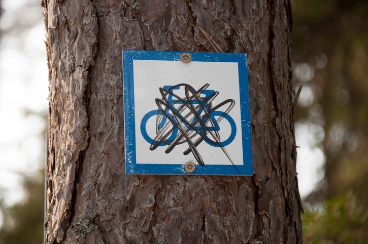 20130310-DSC_0208.jpg