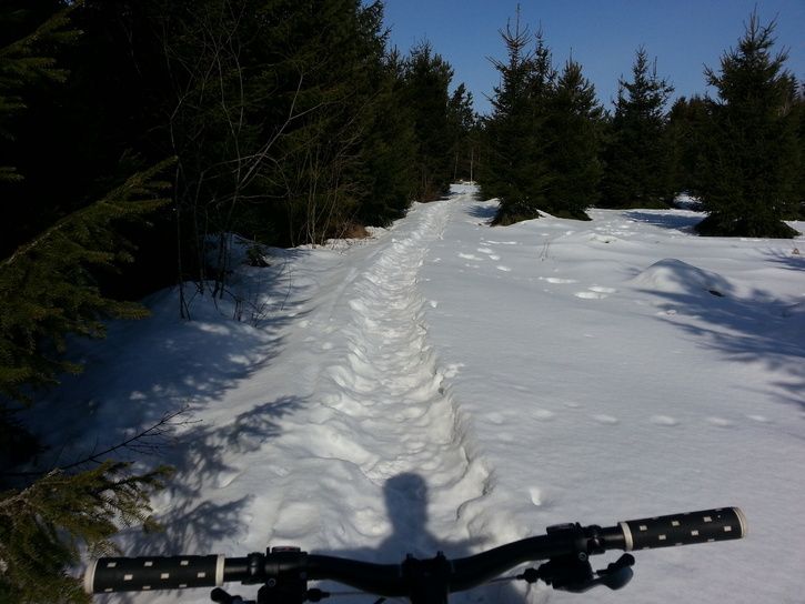20130323_114125.jpg