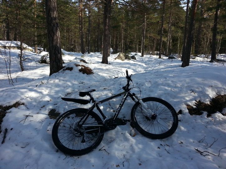 20130323_114937.jpg