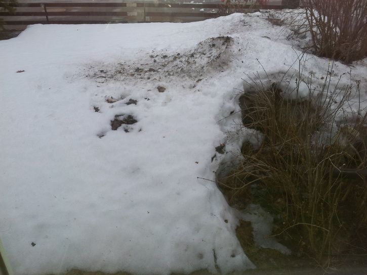 20130413_191828.jpg