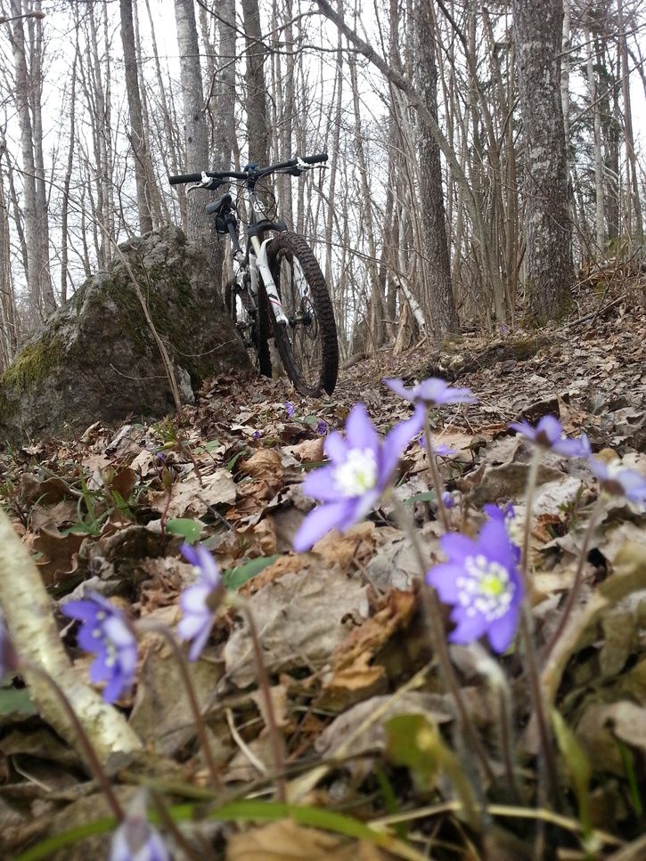 20130428_141022.jpg