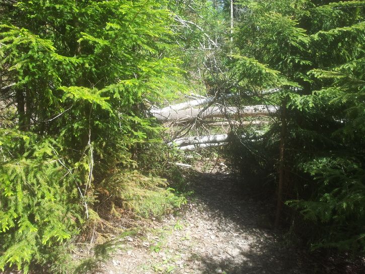 20130525_133027.jpg