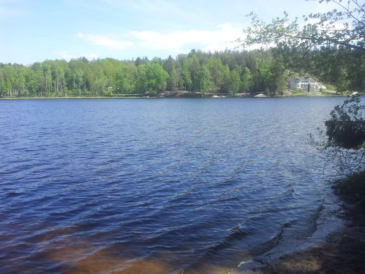 20130525_134453.jpg
