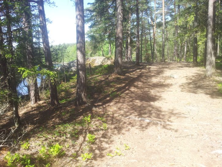 20130525_140740.jpg