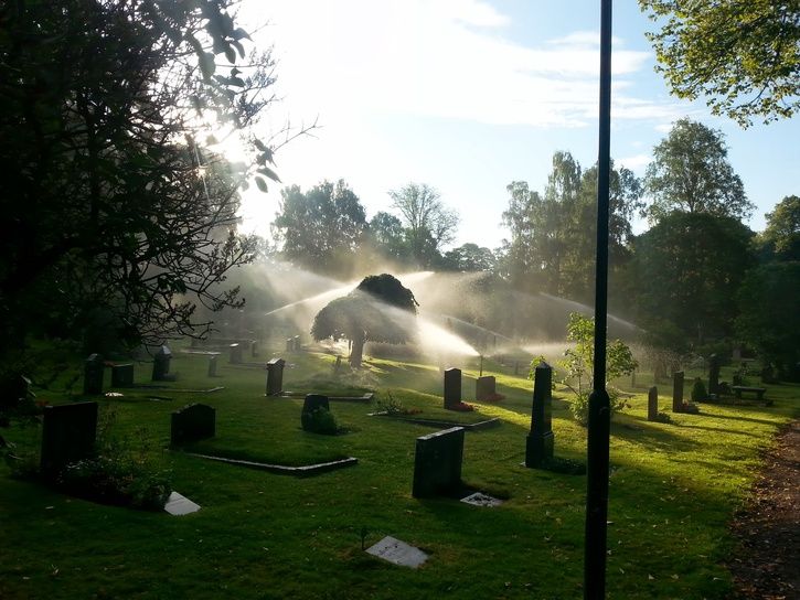 20130808_064741.jpg