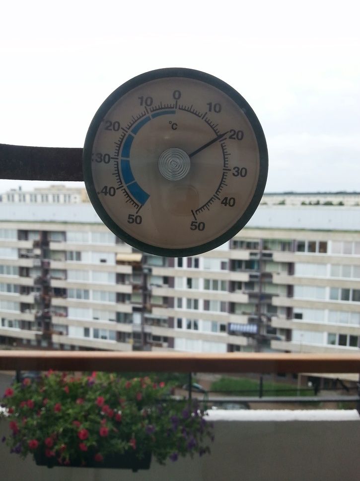 20130817_073922.jpg