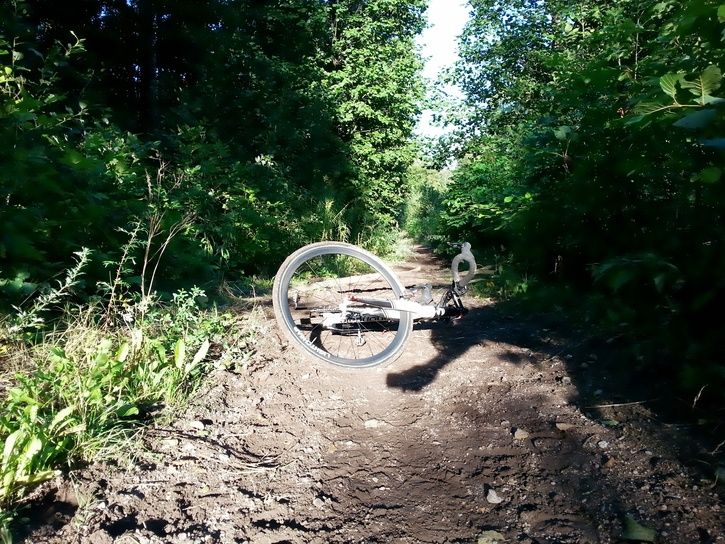 20130901_175215.jpg