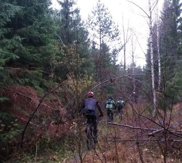 20131026_101059lw.jpg