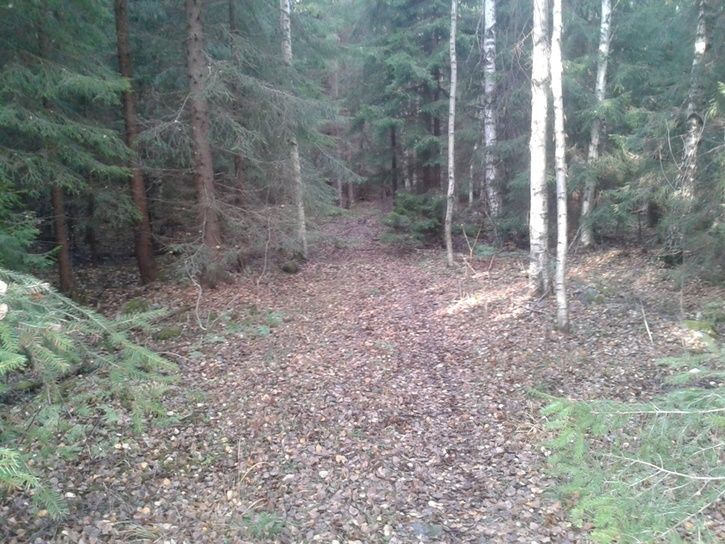 20131102_123238.jpg
