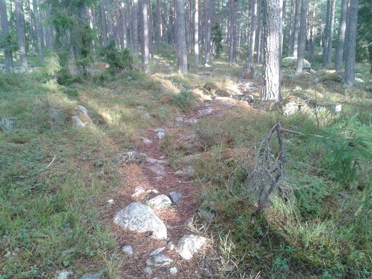 20131102_123756.jpg