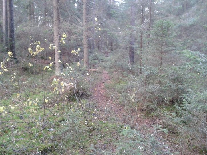 20131102_131812.jpg