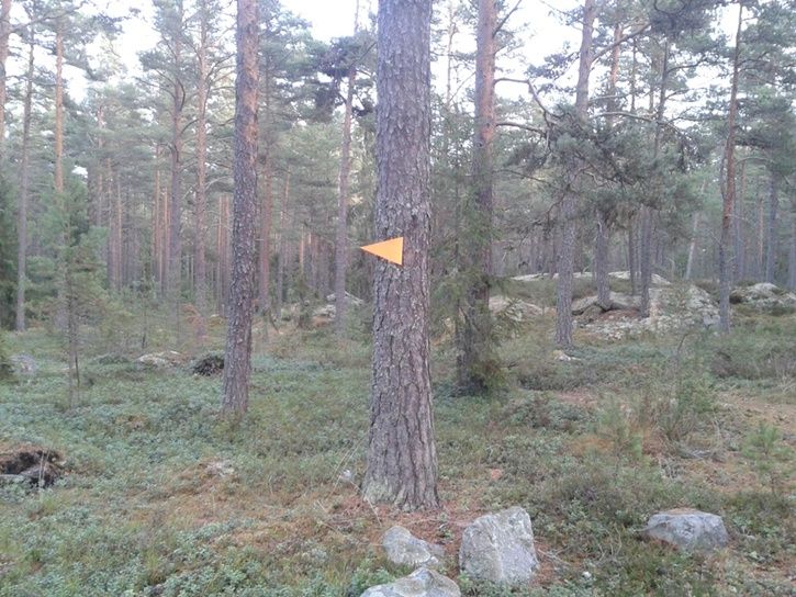 20131102_140749.jpg