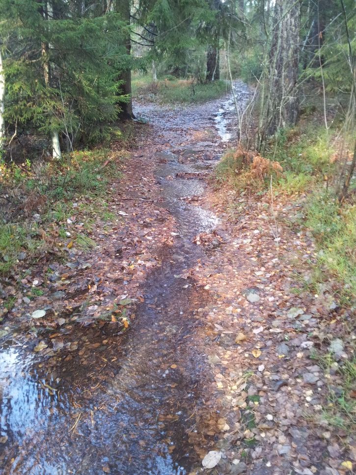 20131105_113946.jpg