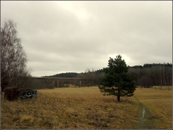20131228_113111.jpg