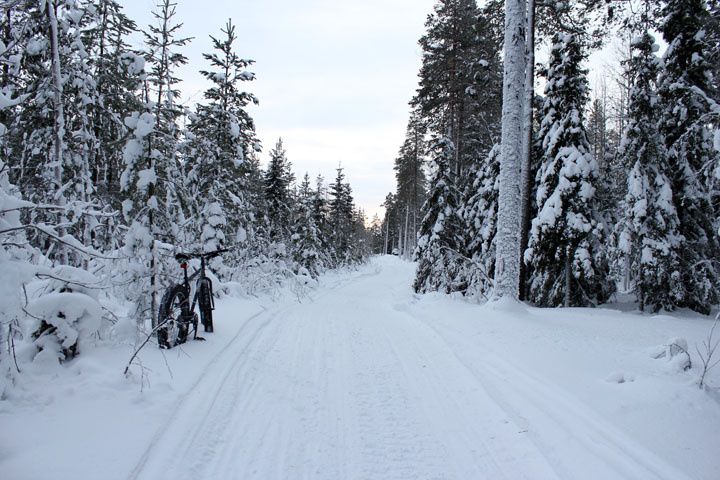 2013_02_23_3658.jpg