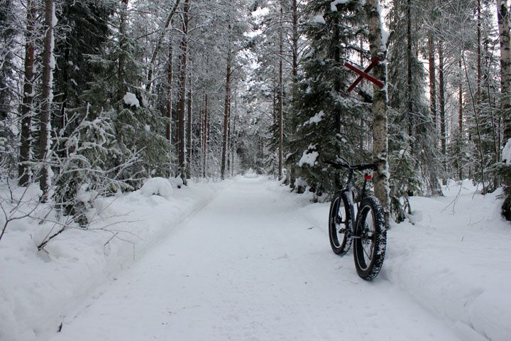 2013_02_23_3660.jpg