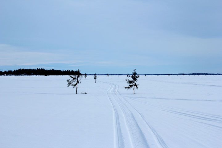 2013_02_23_3674.jpg