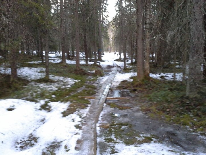 2014-03-2417.32.52.jpg