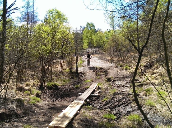 2014-05-0413.10.24.jpg