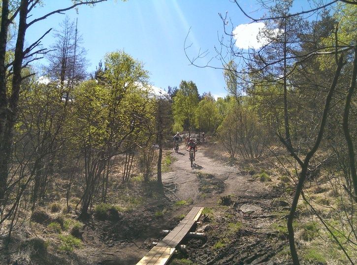 2014-05-0413.11.17.jpg