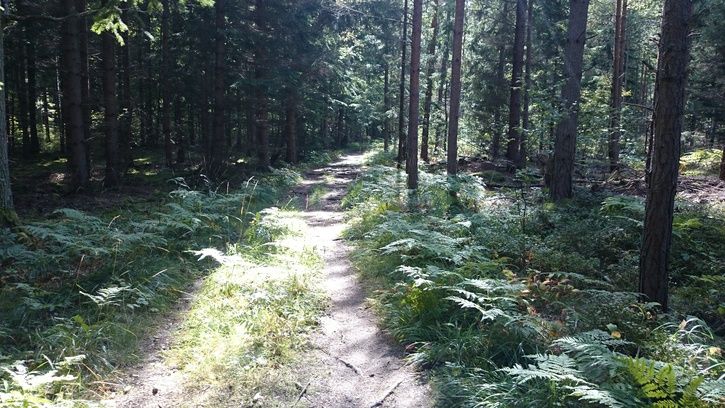 2014-09-0312.43.23.jpg