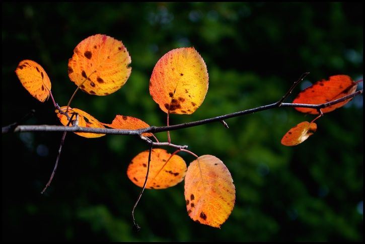 2014-10-11at11-38-511.jpg