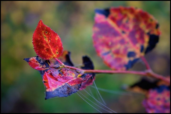 2014-10-12at09-31-29.jpg