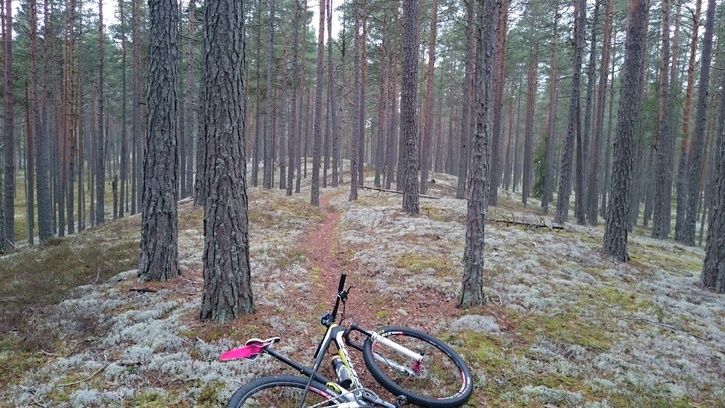 2014-11-0611.46.28.jpg