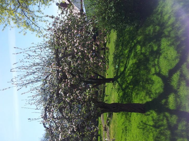 20140522_103200.jpg
