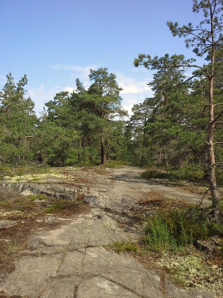20140607_104215.jpg